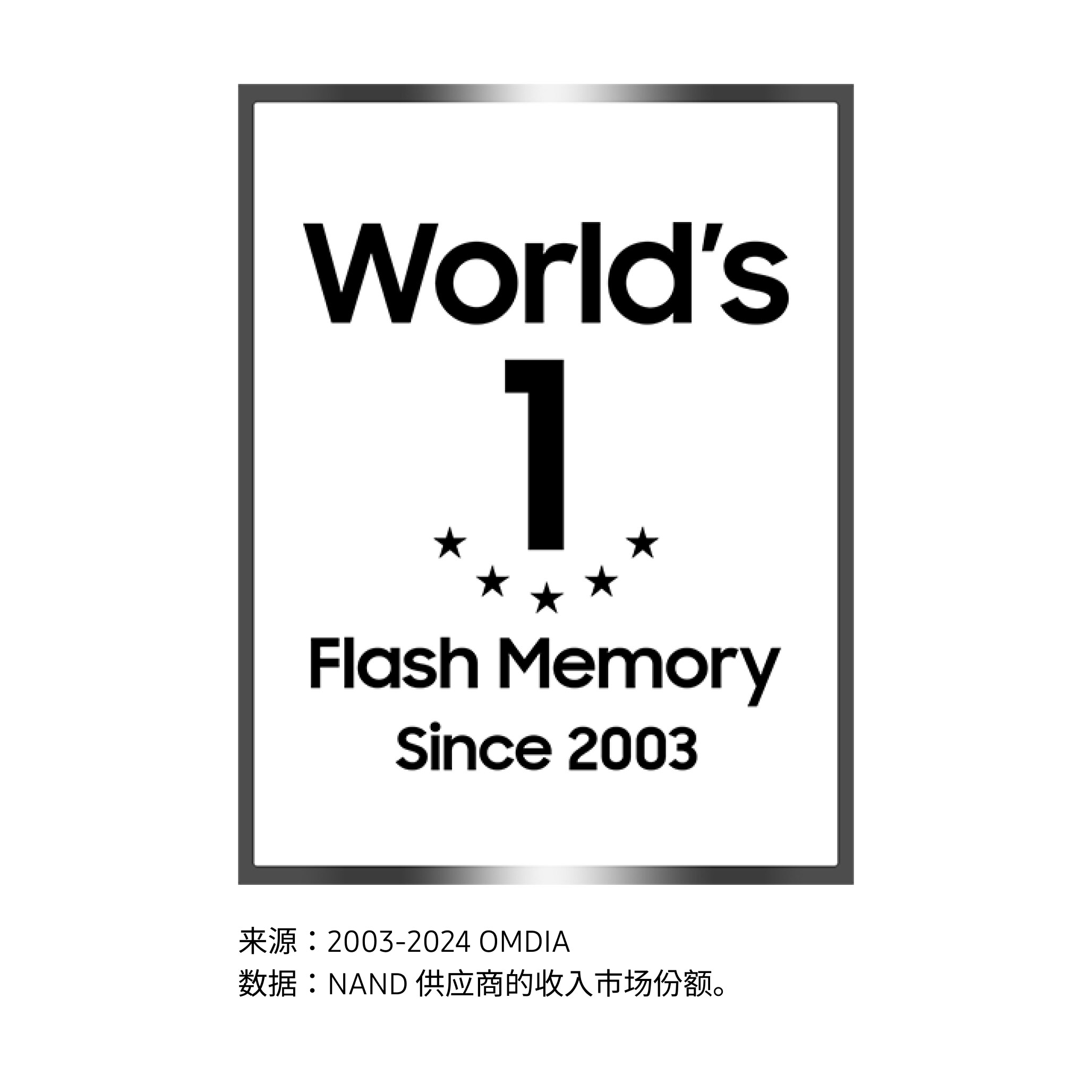 标有 “2003 年以来世界第一闪存 ”的徽章