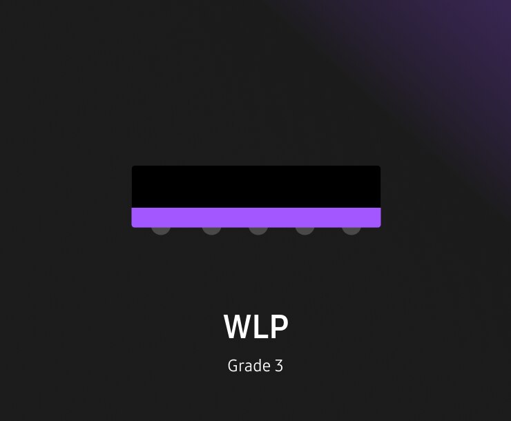 WLP automotive package type