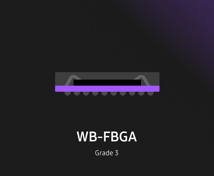 WB-FBGA package technology