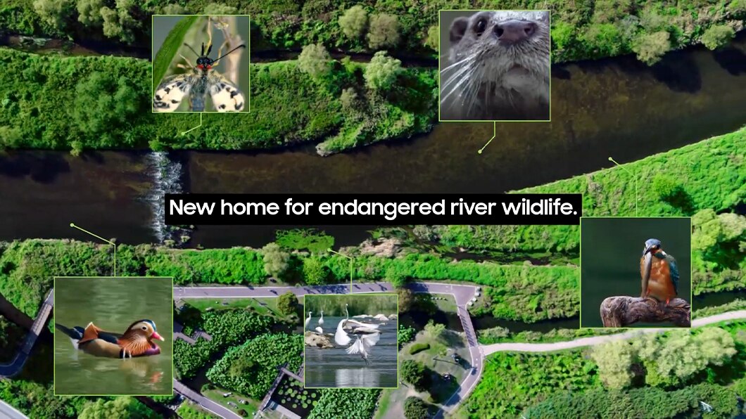 三星电子半导体保护水资源的努力视频缩略图