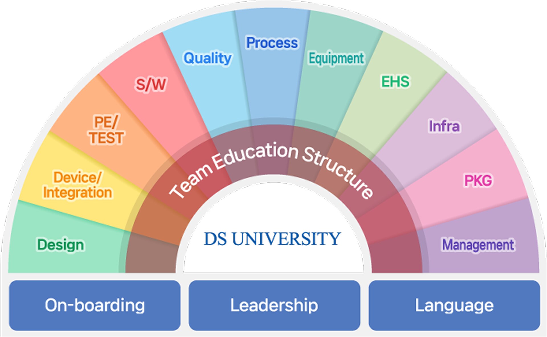 DS University 이미지
