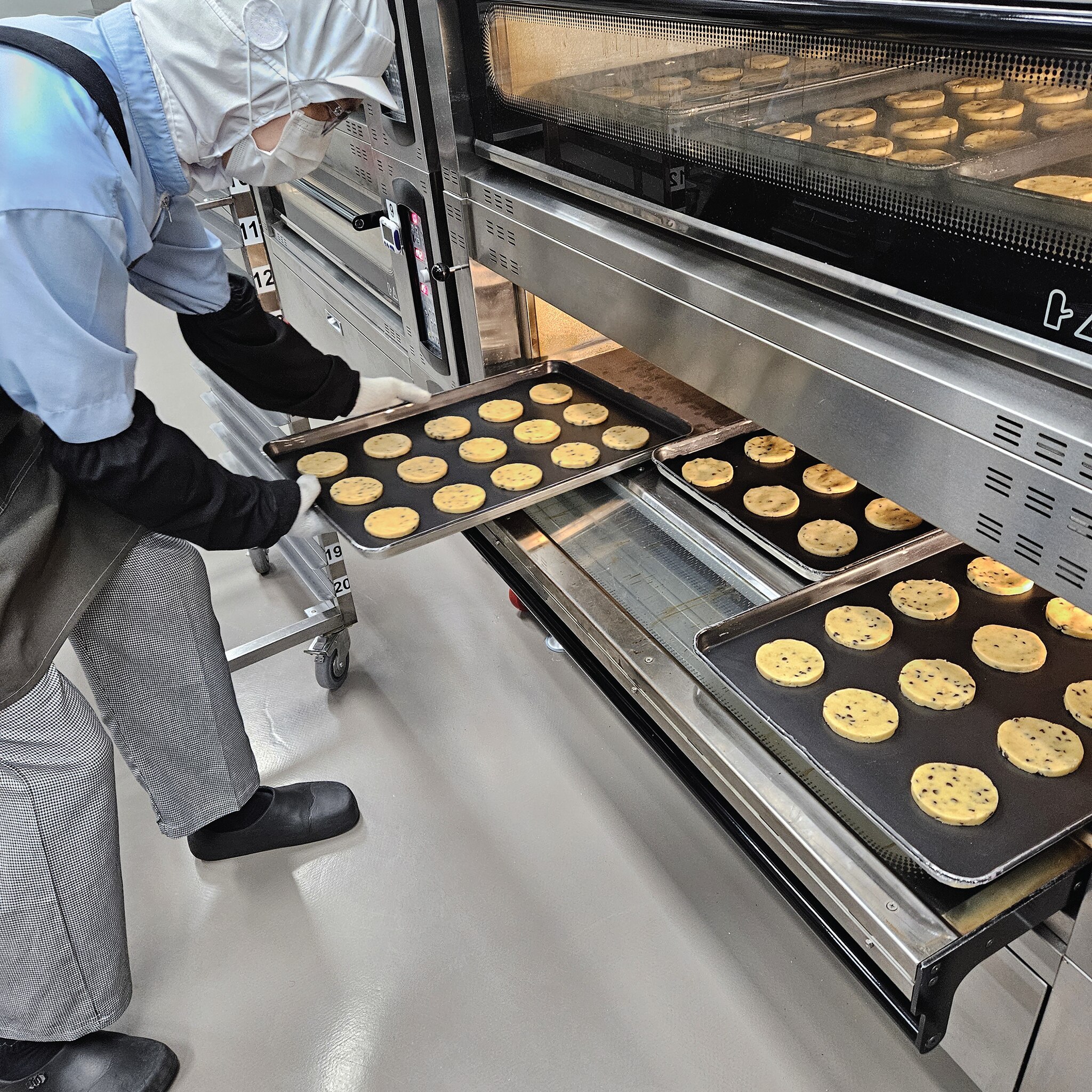 希望之星森林工作人员工作中的画面