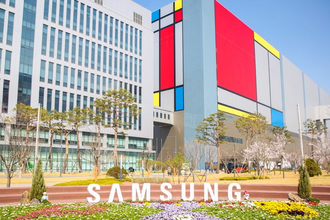 在盛开的花坛后面，可以看到平泽植物。